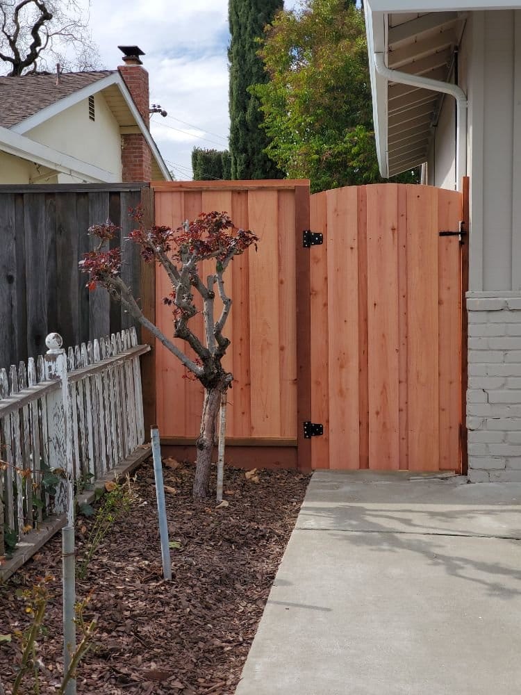 Tall redwood board-on-board gate